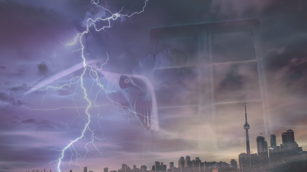 StoryCare NL | Droomwerk en droomduiding: een voorbeeld hoe droomwerk werkt