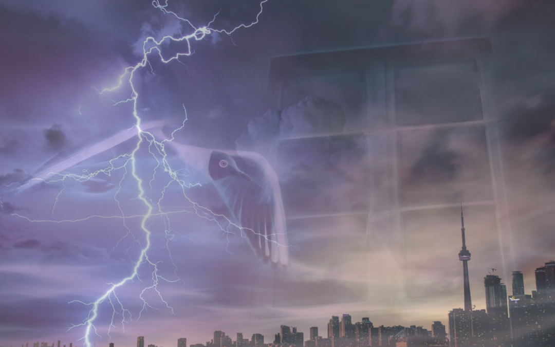 Droomwerk en droomduiding: 3 tips om je dromen te herinneren